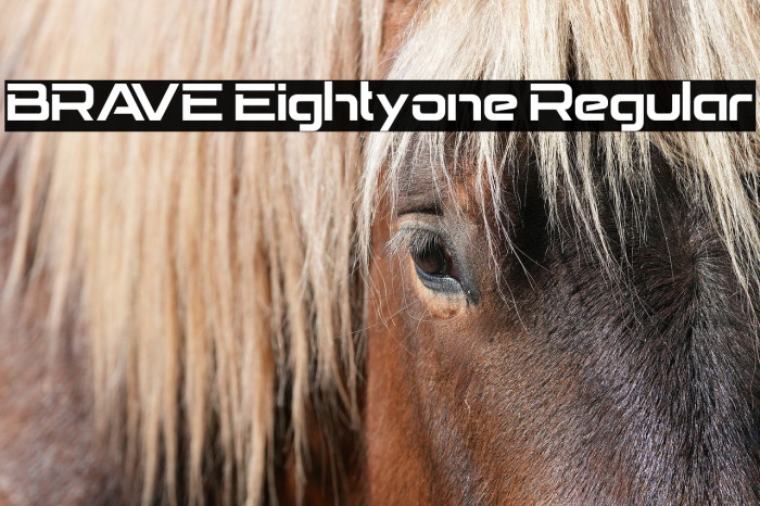 BRAVE Eightyone Regular Example 2