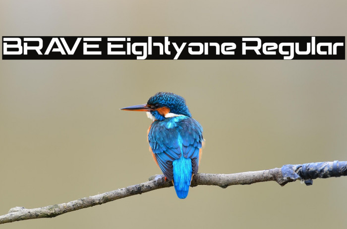 BRAVE Eightyone Regular Example 3