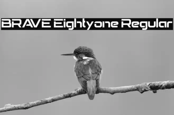 BRAVE Eightyone Regular Font examples
