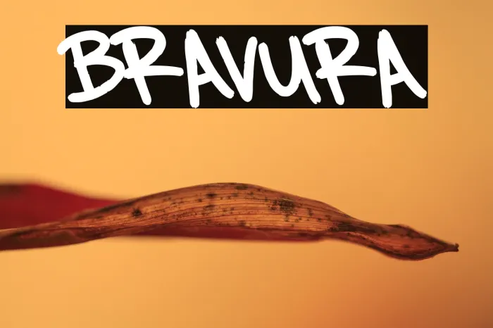 BRAVURA Example 2