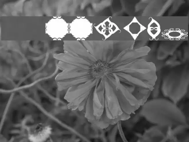 BRDoodles Font examples