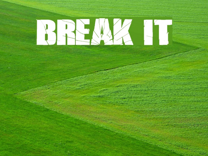 BREAK IT Example 2