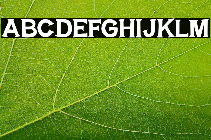 BREAKING SPAWN SOLID DEMO Example 3