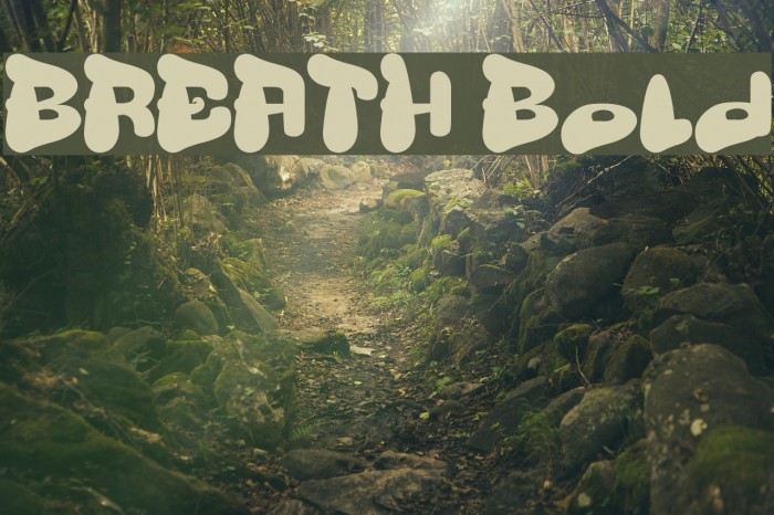 BREATH Bold Font examples