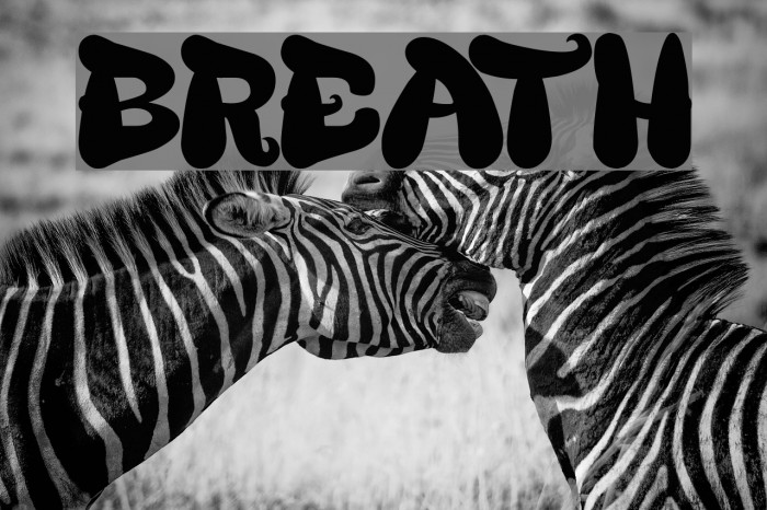 BREATH Font examples