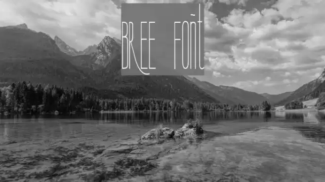 BREE Font examples