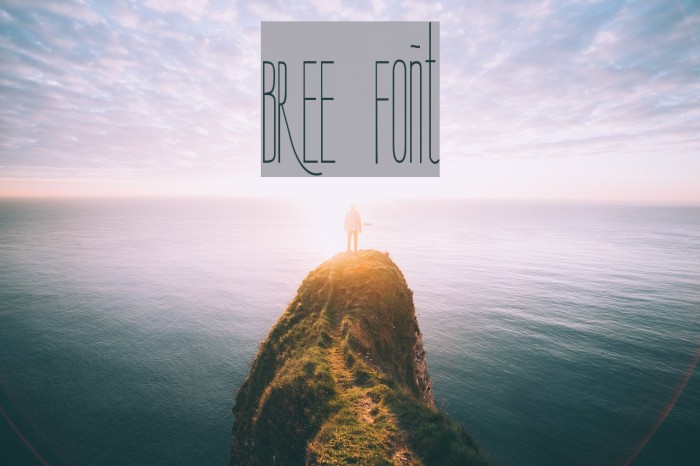 BREE Font examples