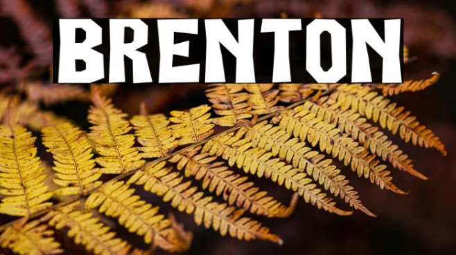 BRENTON Example 2