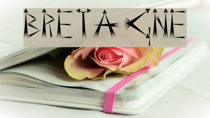 BRETAGNE Font examples