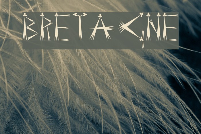 BRETAGNE Font examples
