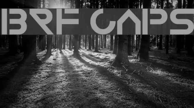 BRF Caps Font examples