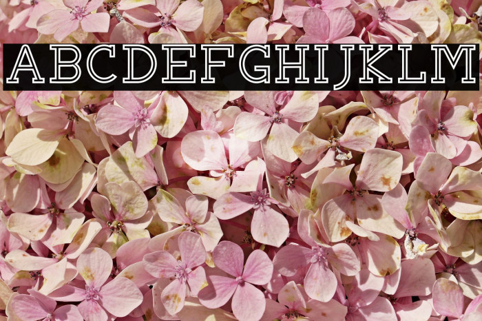 BRIAN WORTH Outline Font examples