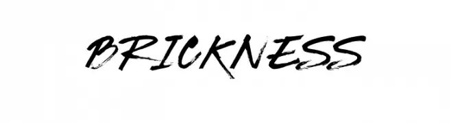 BRICKNESS  Скачать бесплатные шрифты