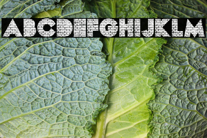 BRICKS PERSONAL USE Bold Example 1