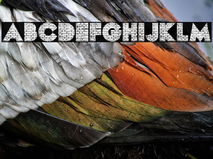 BRICKS PERSONAL USE Bold Example 2