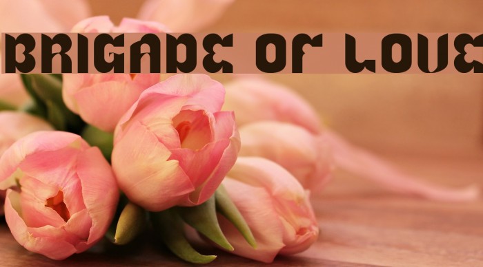 BRIGADE OF LOVE Font examples