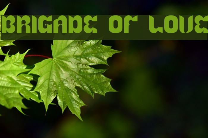 BRIGADE OF LOVE Font examples