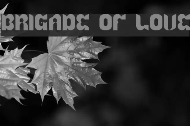 BRIGADE OF LOVE Fonte examples