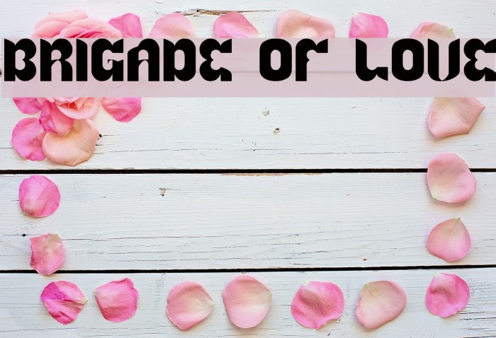 BRIGADE OF LOVE Font examples