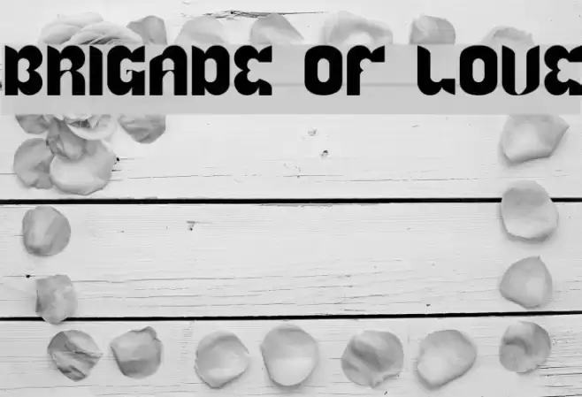 BRIGADE OF LOVE Fonte examples