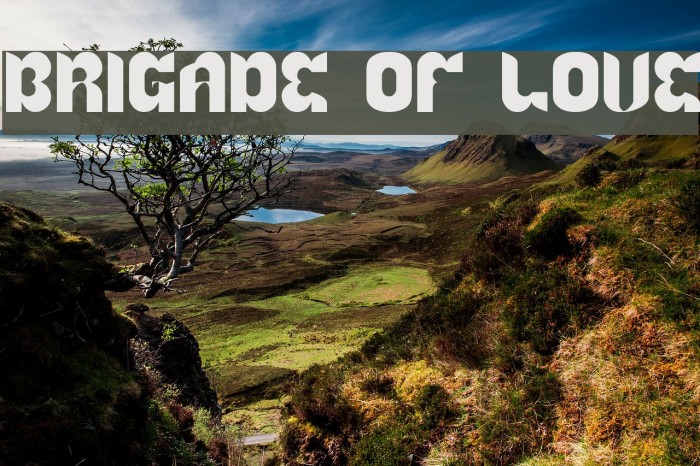 BRIGADE OF LOVE Font examples
