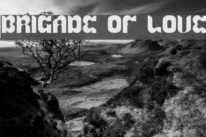 BRIGADE OF LOVE Fonte examples