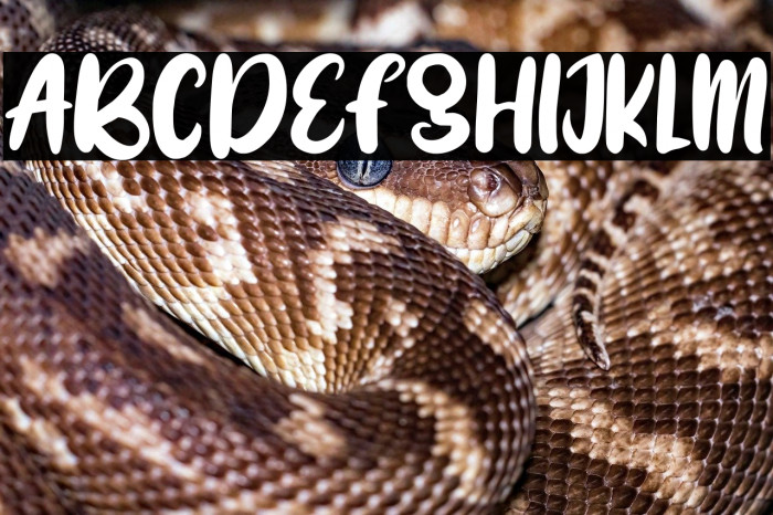 BRIGHT SMILE Example 3