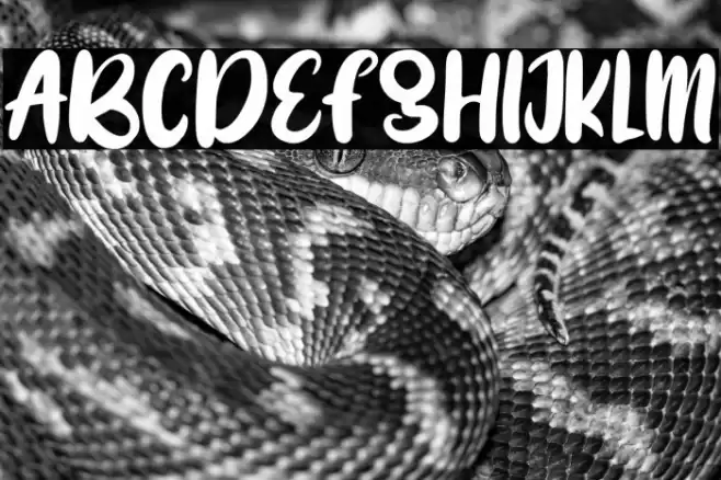 BRIGHT SMILE Font examples