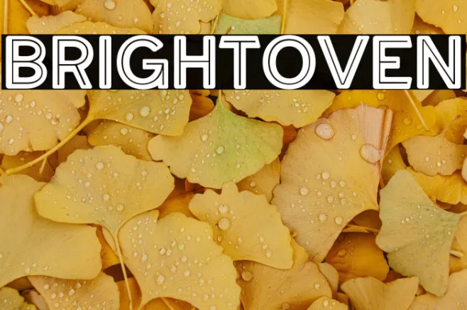 BRIGHTOVEN Example 1