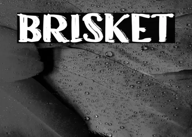 BRISKET Font examples