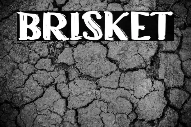 BRISKET Font examples