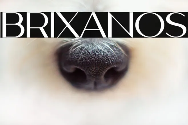 BRIXANOS Example 1