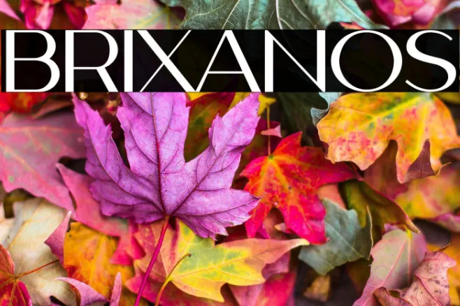 BRIXANOS Example 2