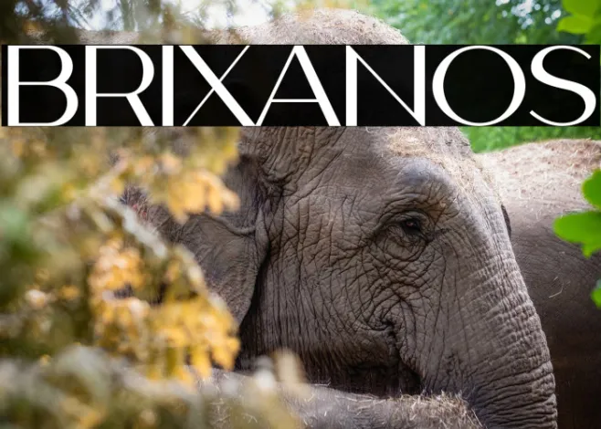 BRIXANOS Example 3