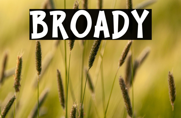 BROADY Example 3