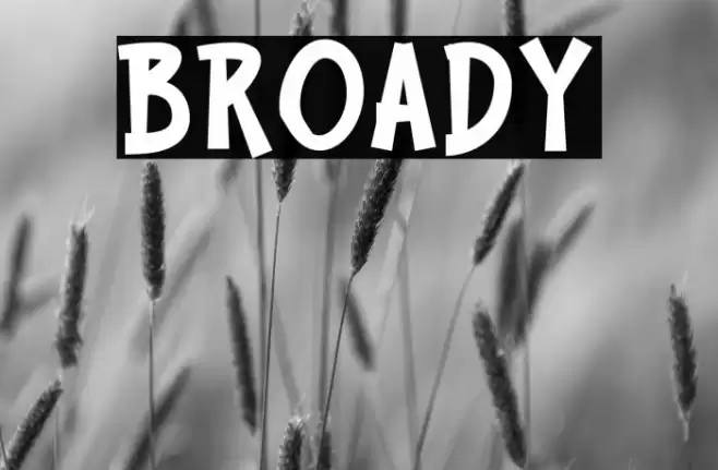 BROADY Font examples
