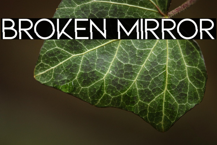 BROKEN MIRROR Example 1