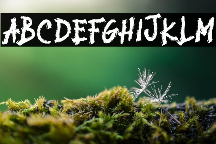 BROKEN STORM Example 1