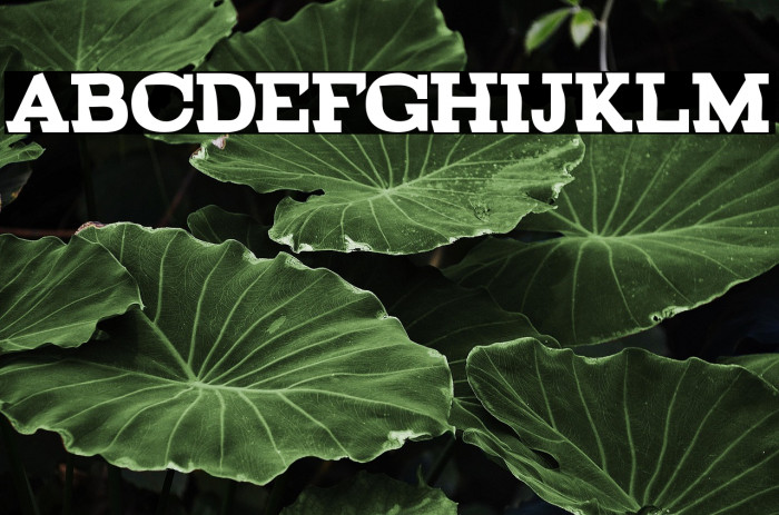 BROKEN normal demo Example 2