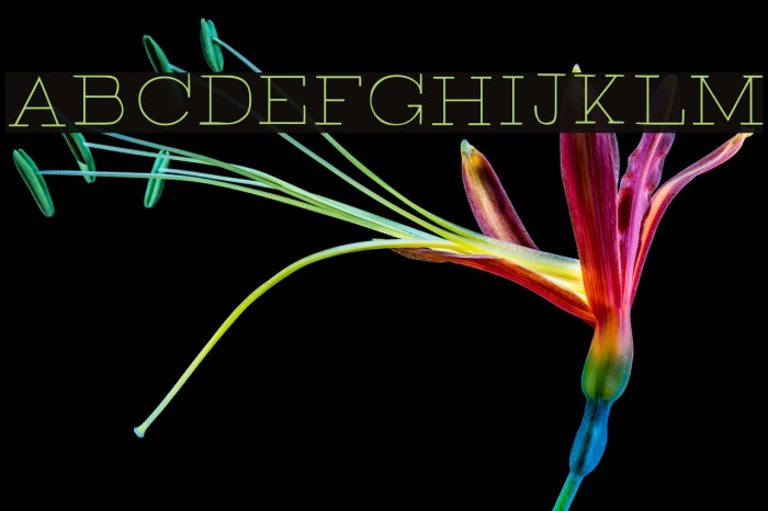 BROKEN thin demo Font examples