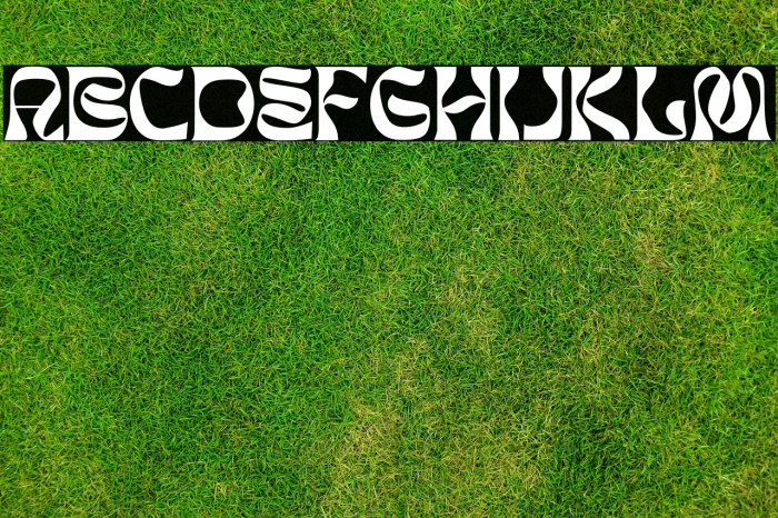 BROMAN PERSONAL USE ONLY Example 1