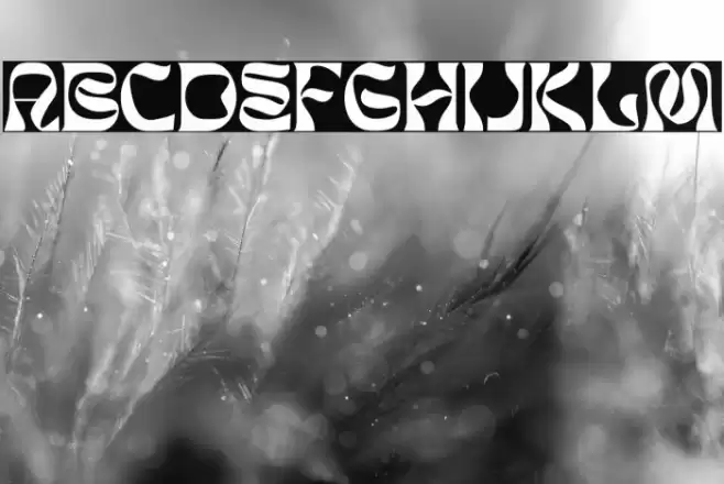 BROMAN PERSONAL USE ONLY Font examples