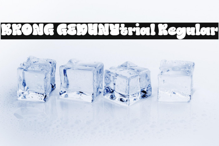 BRONG GEDUNYtrial Regular Example 3