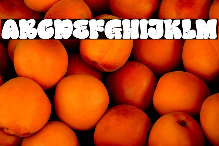 BRONGGEDUNYtrial-Regular Example 3