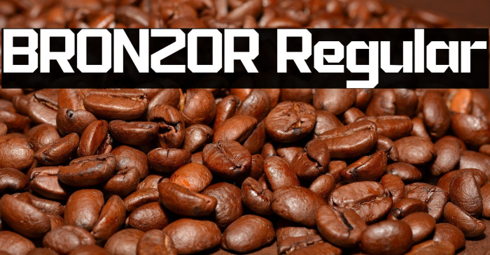 BRONZOR Regular Шрифта examples