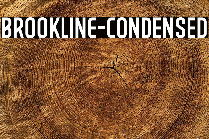 BROOKLINE-Condensed Example 1