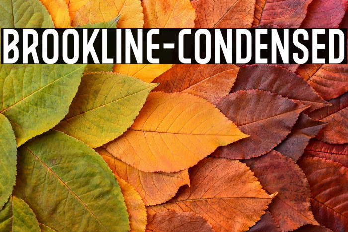 BROOKLINE-Condensed Example 3