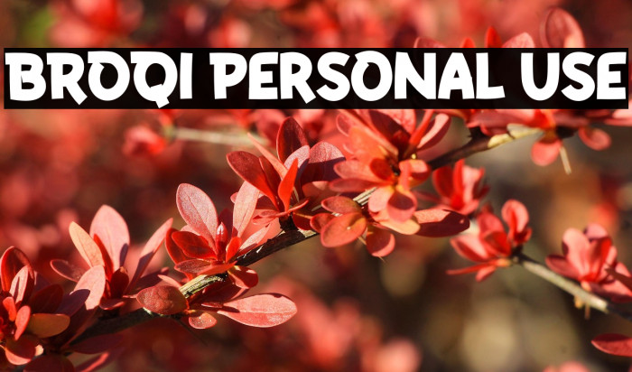 BROQI Personal Use Example 1