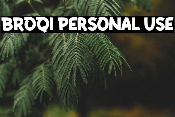 BROQI Personal Use Example 3