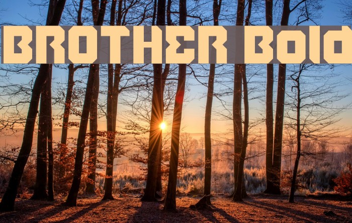 BROTHER Bold Font examples